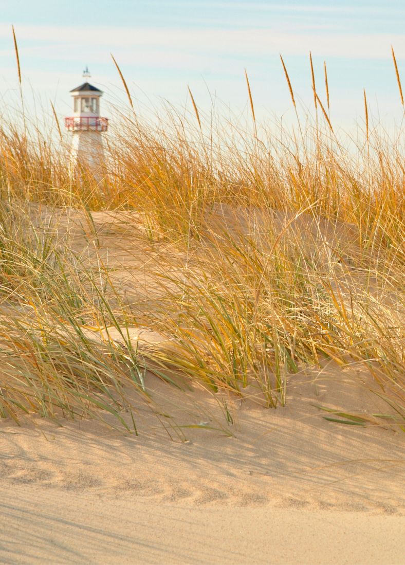 New Buffalo, MI callout